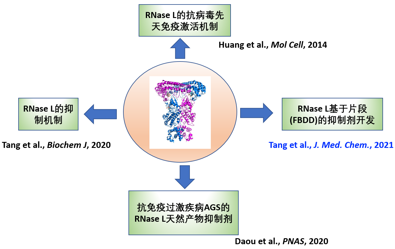 图示描述已自动生成